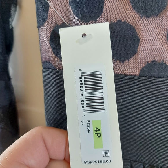 Eiza J Dot Mesh Fit and Flare Dress with pockets - Picture 14 of 15